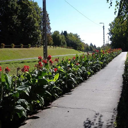 Διαμέρισμα In - Thermalbad 20683 *